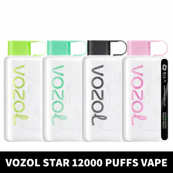 Vozol Star 12000 Puffs Disposable Vape Dubai